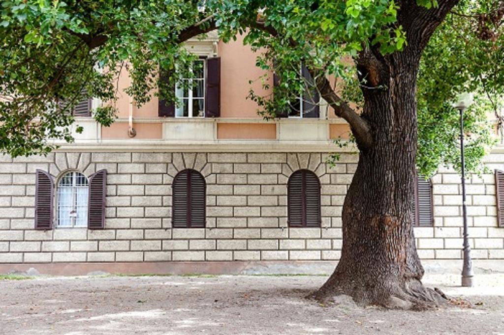 Bed and breakfast Amoroma Roma